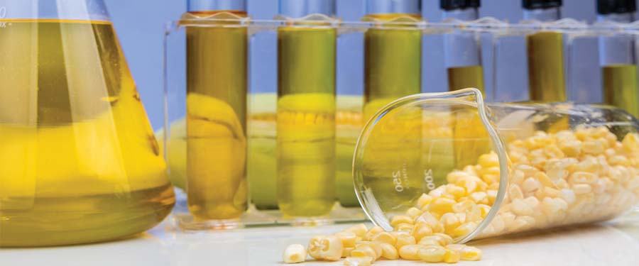 Base Oil & Lubricants